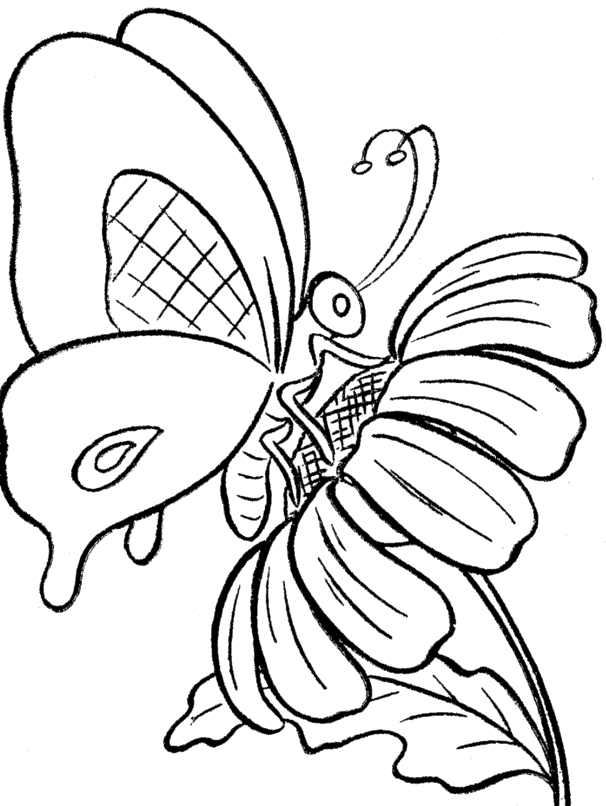 Butterfly And Sun Flower Coloring Print - Butterfly Cartoon 