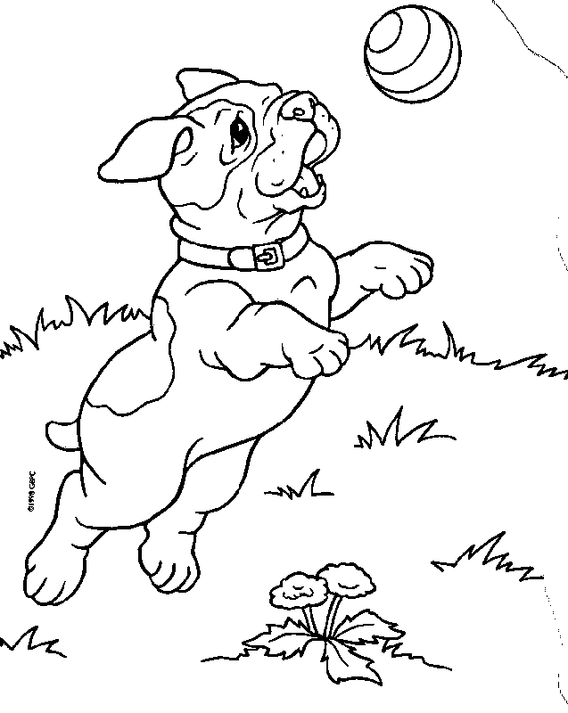 Puppies | Free Printable Coloring Pages
