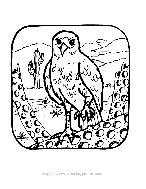 bird in the desert printable coloring pages for kids number 