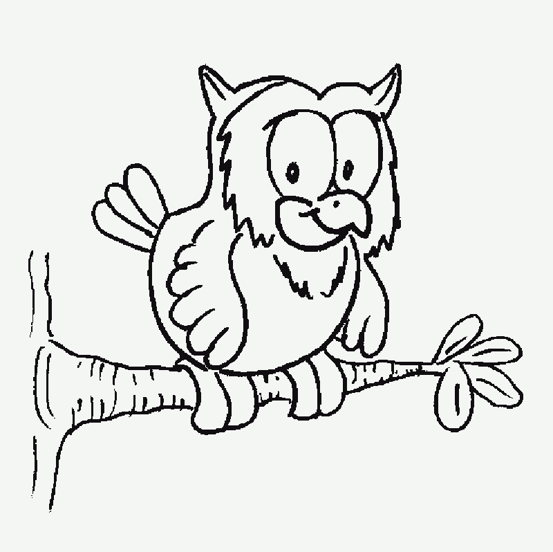 Big Eyed Owl Coloring Pages - Kids Colouring Pages
