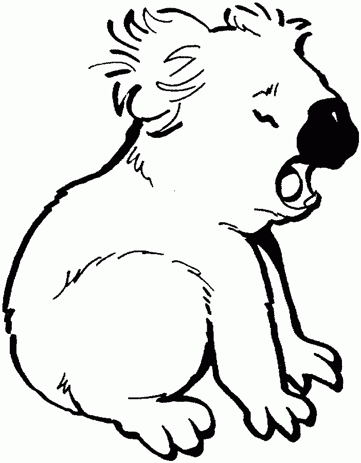 Cute Koala Coloring Pages Images & Pictures - Becuo
