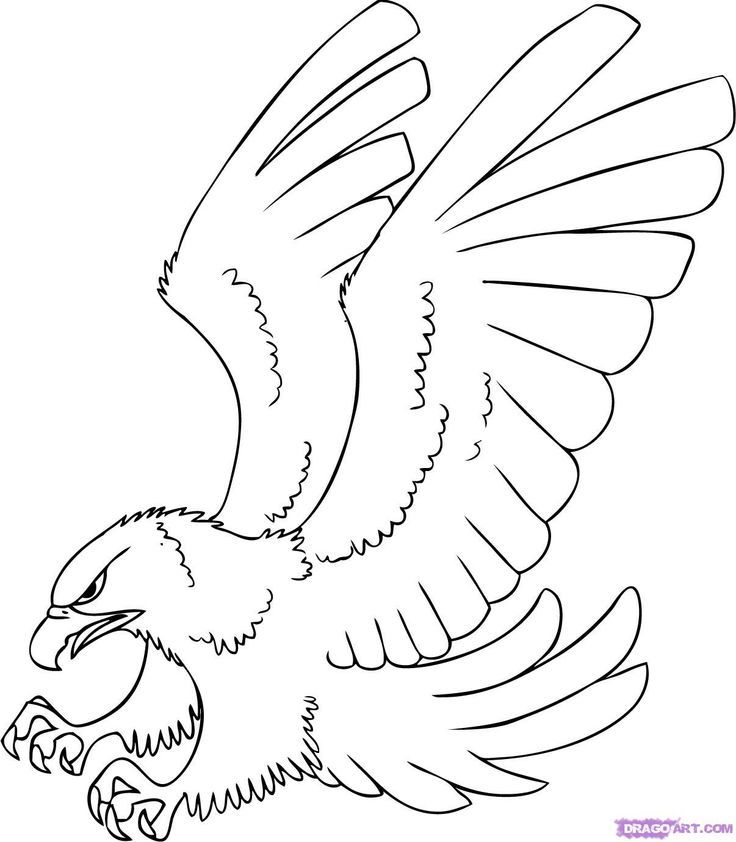 Coloring Contest: HAWKS Dont Do Drugs | Red Ribbon Week