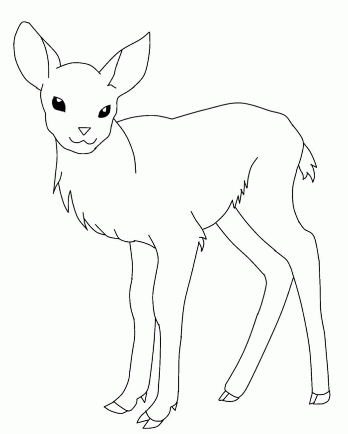 Deer And Elk Coloring Pages