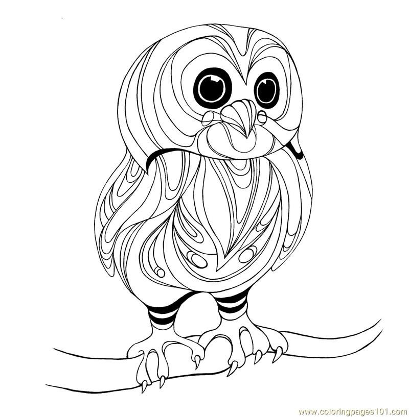 Owl Face Coloring Page