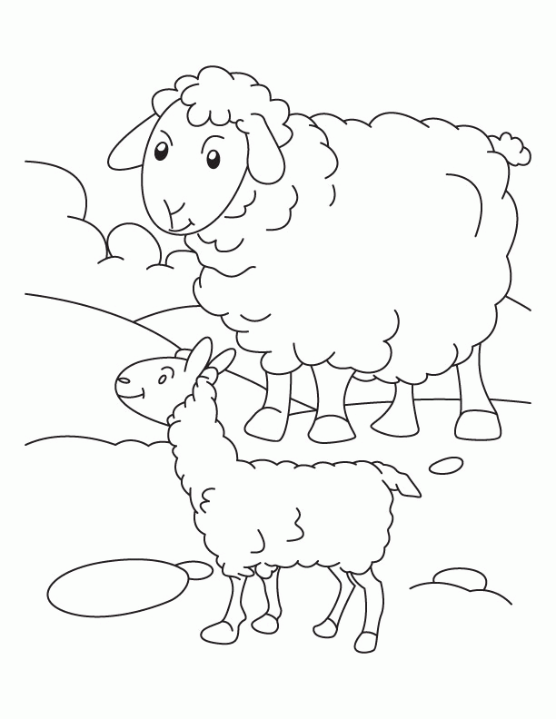 Download Sheep Coloring Page For Kids Or Print Sheep Coloring Page 