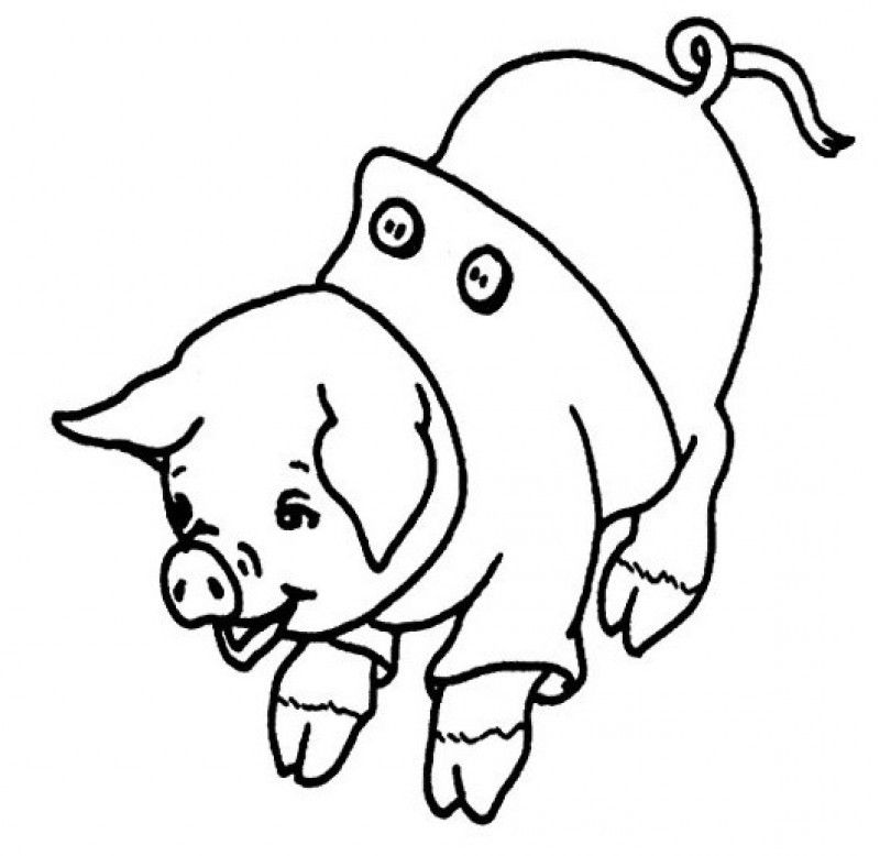 Laughing Pig Coloring For Kids - Kids Colouring Pages