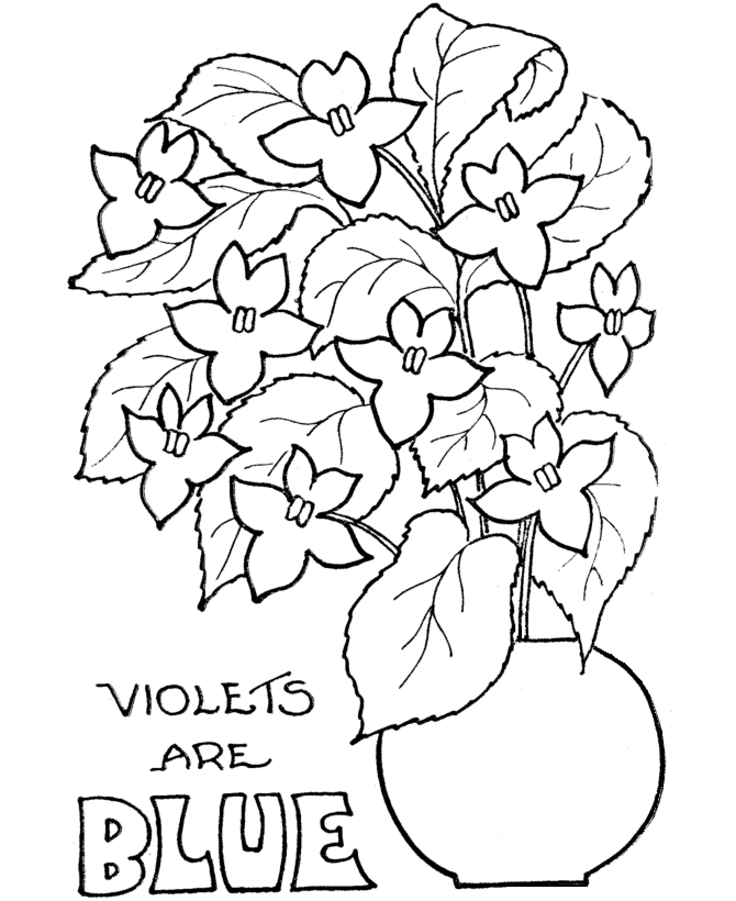 Valentine's Day Coloring Flowers - Violets are Blue Coloring Page 