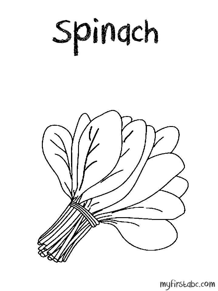 Spinach coloring page it'fresh day png - Clipartix