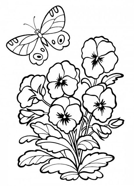 Free download coloring pages 
