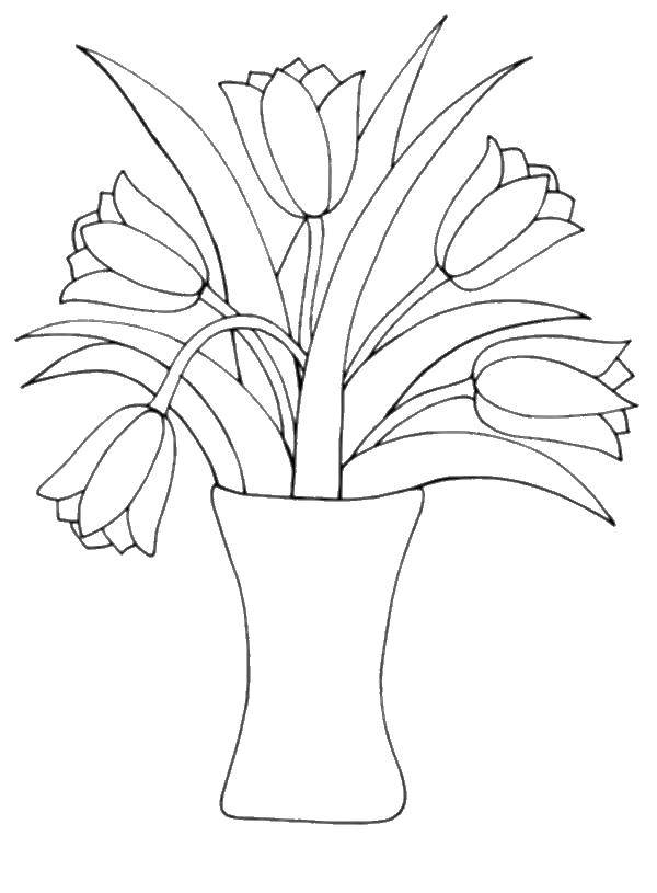 Coloring Pages | Tulip Flower Pot Coloring Pages