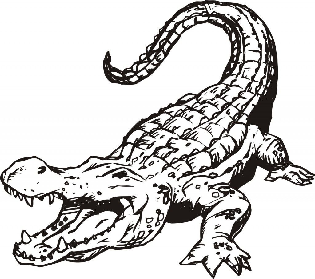 Alligators and crocodiles coloring pages download and print for free