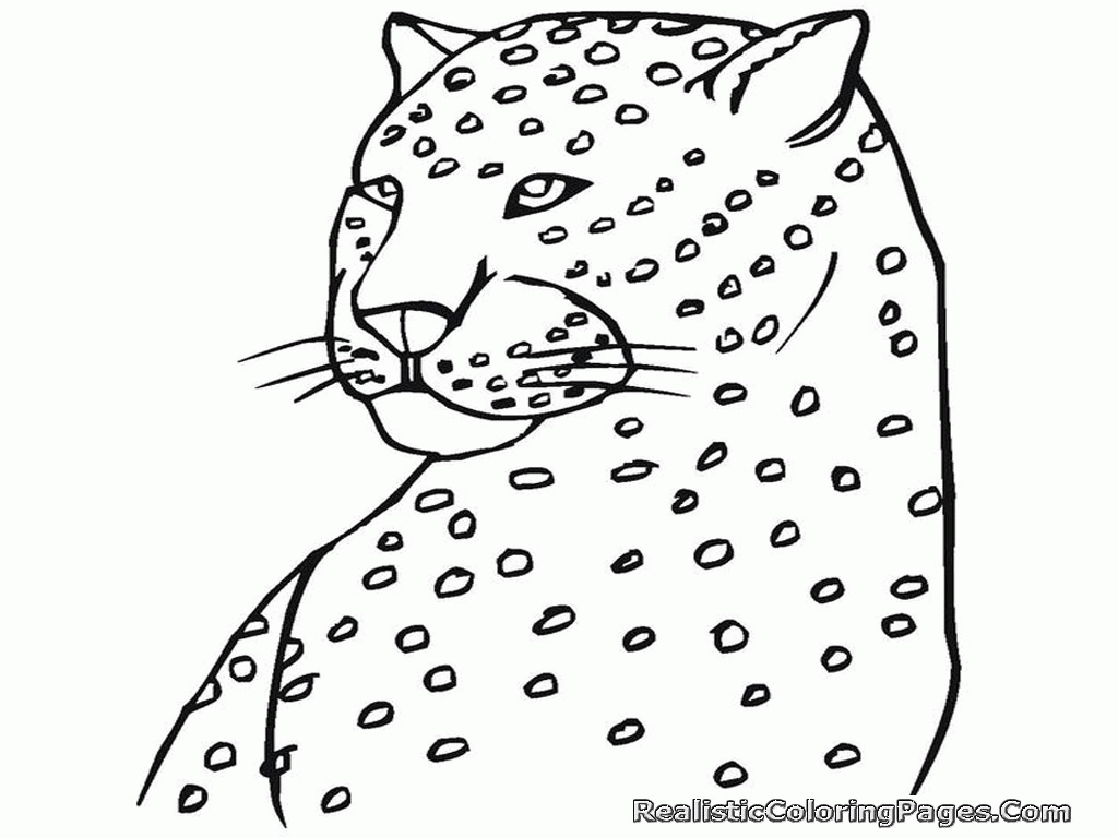 Free Coloring Pages Of Cheetah | Realistic Coloring Pages