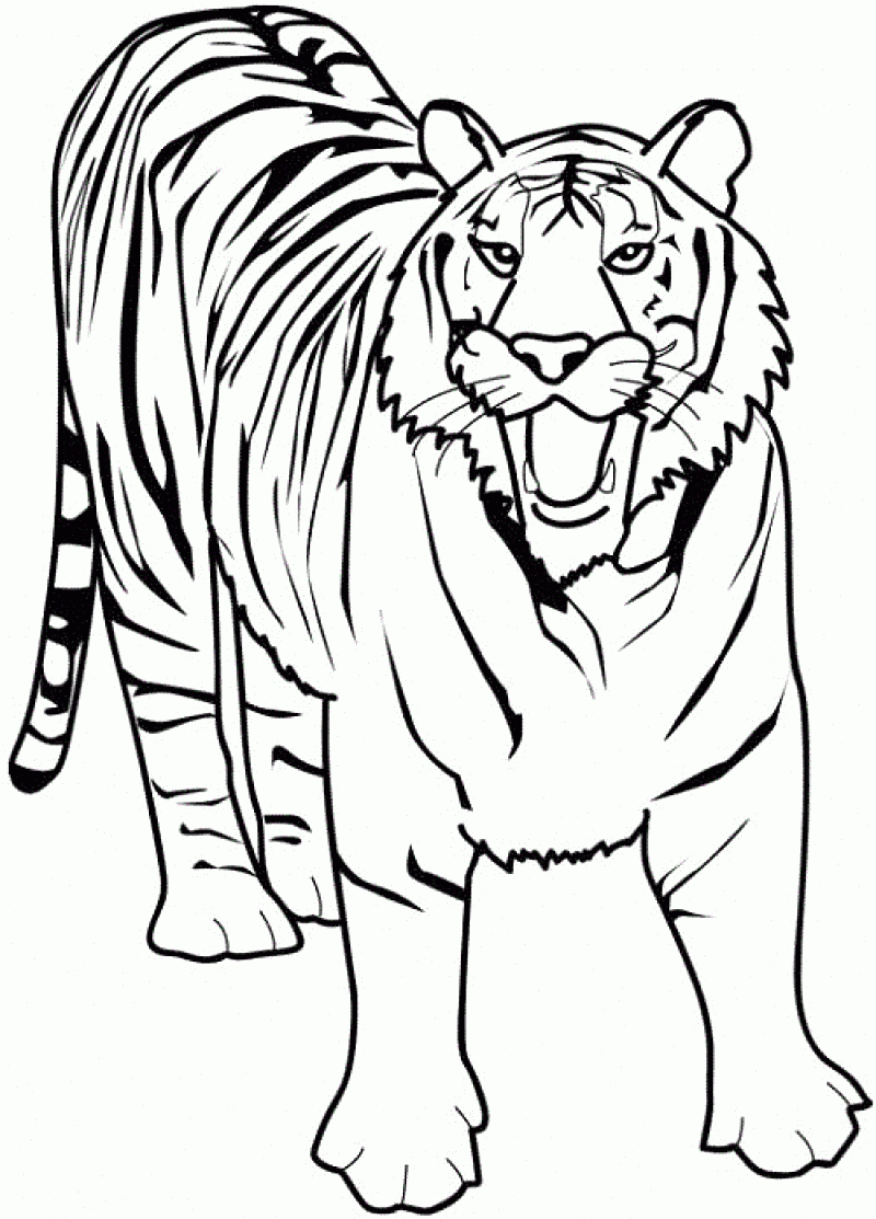 Tiger Printable Coloring Pages - Coloring Home