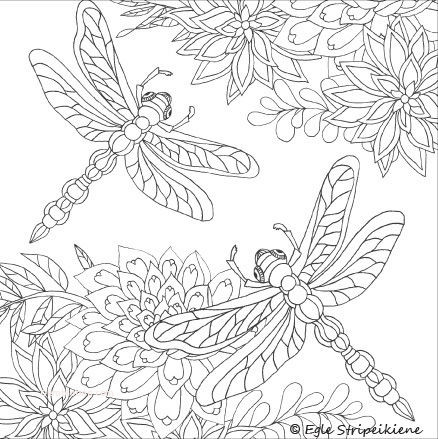 Dragon Fly Coloring Pages Coloring Home