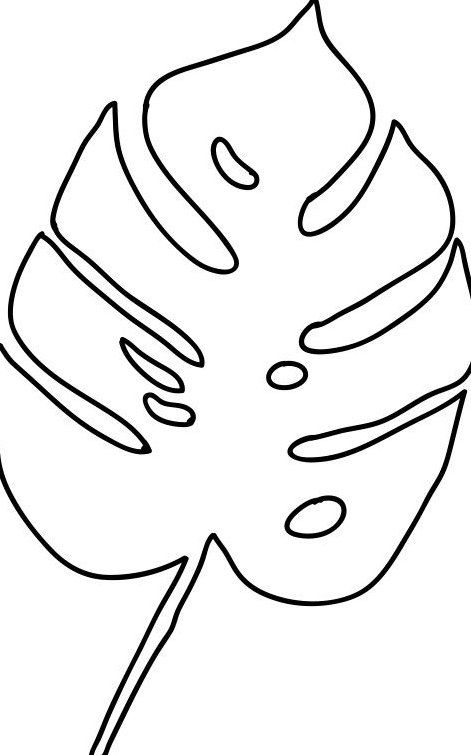 Palm Leaf Coloring Pages - Coloring Home