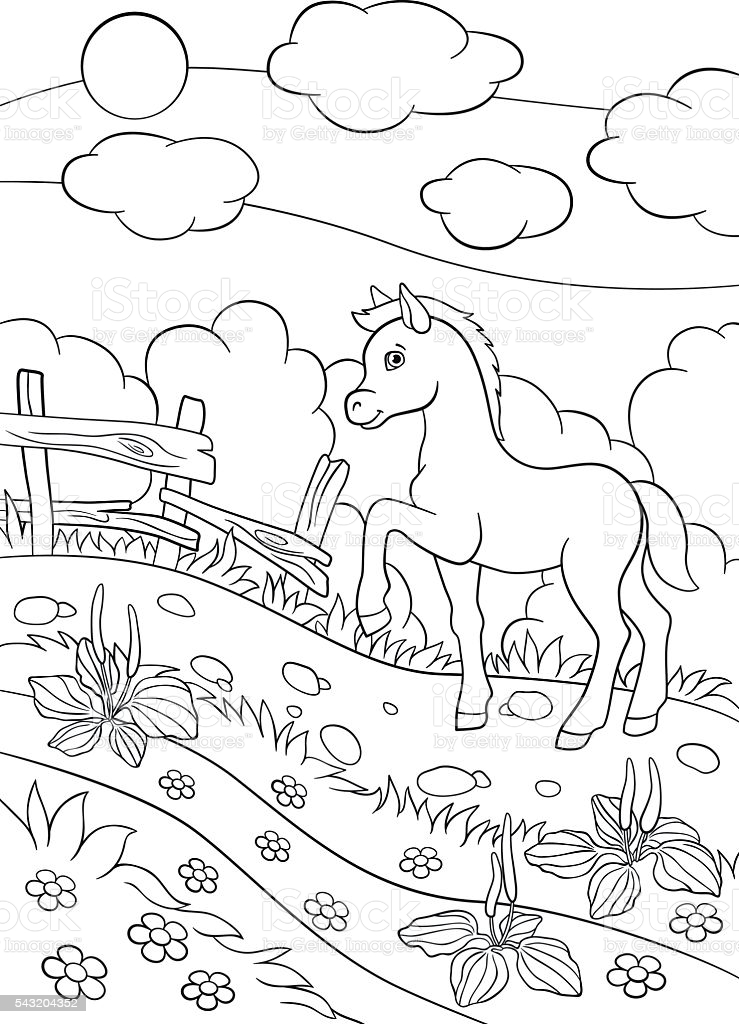 Coloring Pages Farm Animals Little Cute Foal Stock Illustration - Download  Image Now - iStock