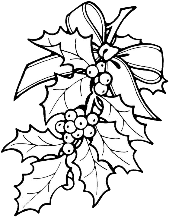 Christmas Holly Coloring Pages 1 | Purple Kitty