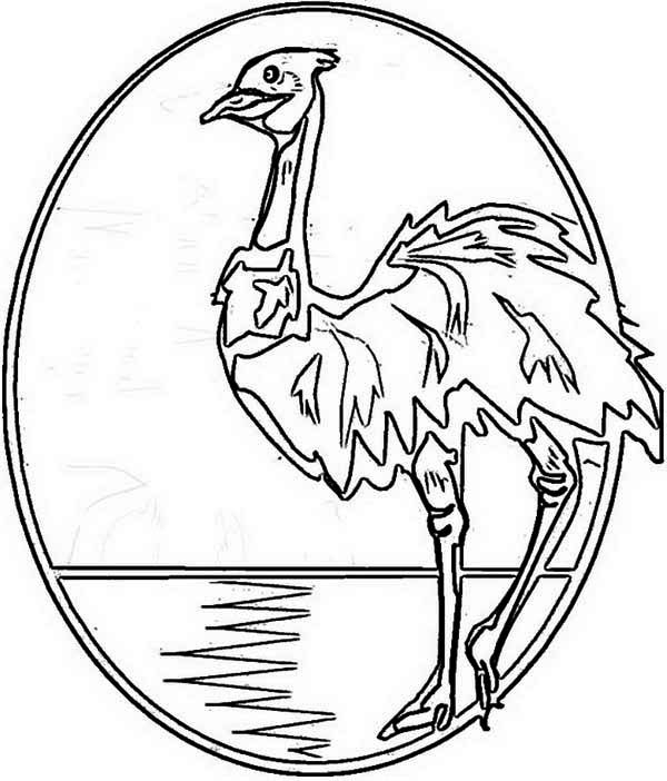 An Illustration of Australia Emu for Australia Day Coloring Page ...