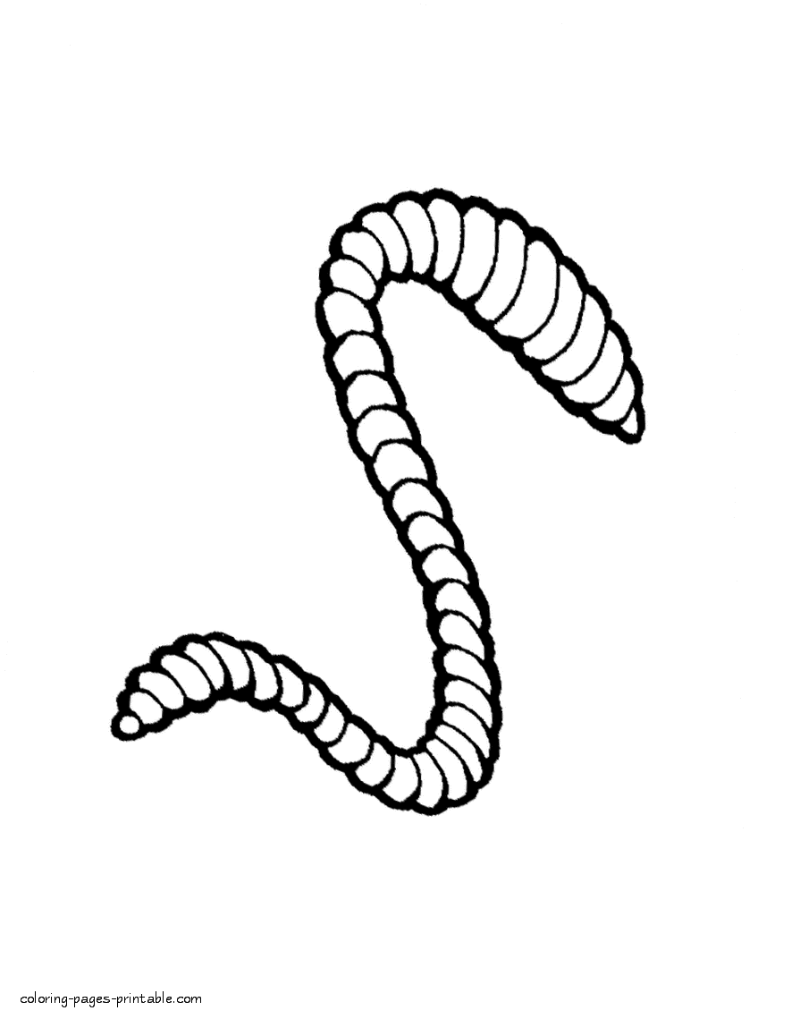 Realistic worm coloring sheet || COLORING-PAGES-PRINTABLE.COM
