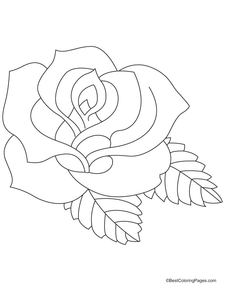Drawing Roses #161904 (Nature) – Printable coloring pages