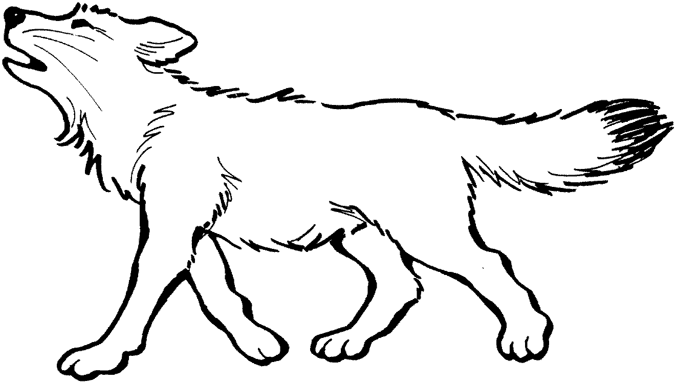 Wolf With Pup Coloring Pages   Coloring Home