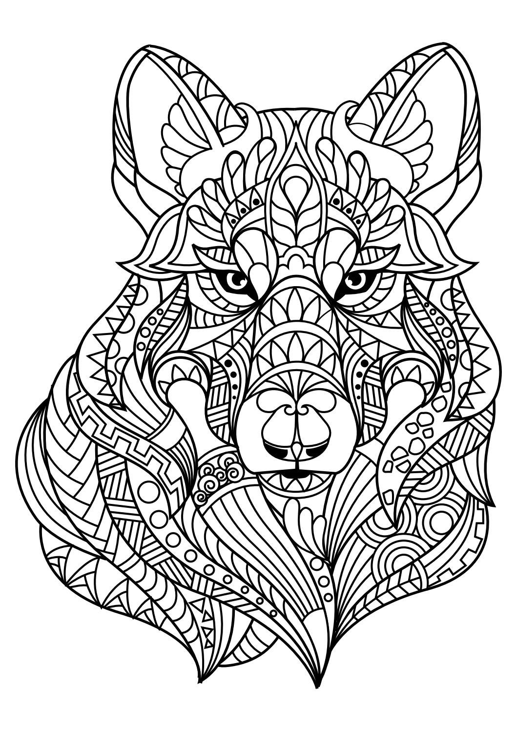Adult Animals Coloring Pages   Coloring Home