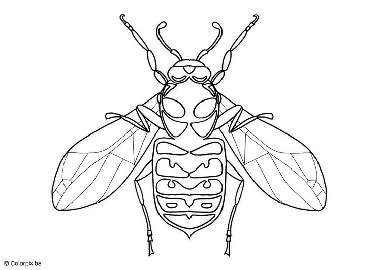 Coloring Page wasp - free printable coloring pages