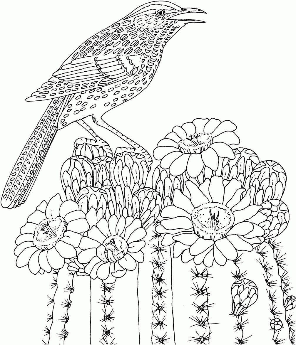 Free Printable Advanced Coloring Pages High Skill Image 27 ...