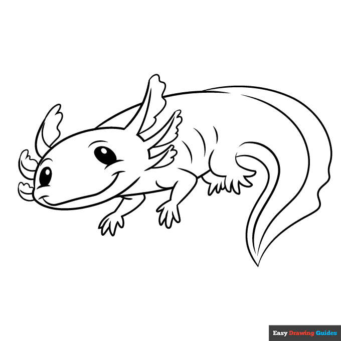 Axolotl Coloring Page | Easy Drawing Guides