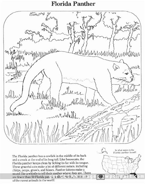 Florida Panthers Coloring Pages - Learny Kids