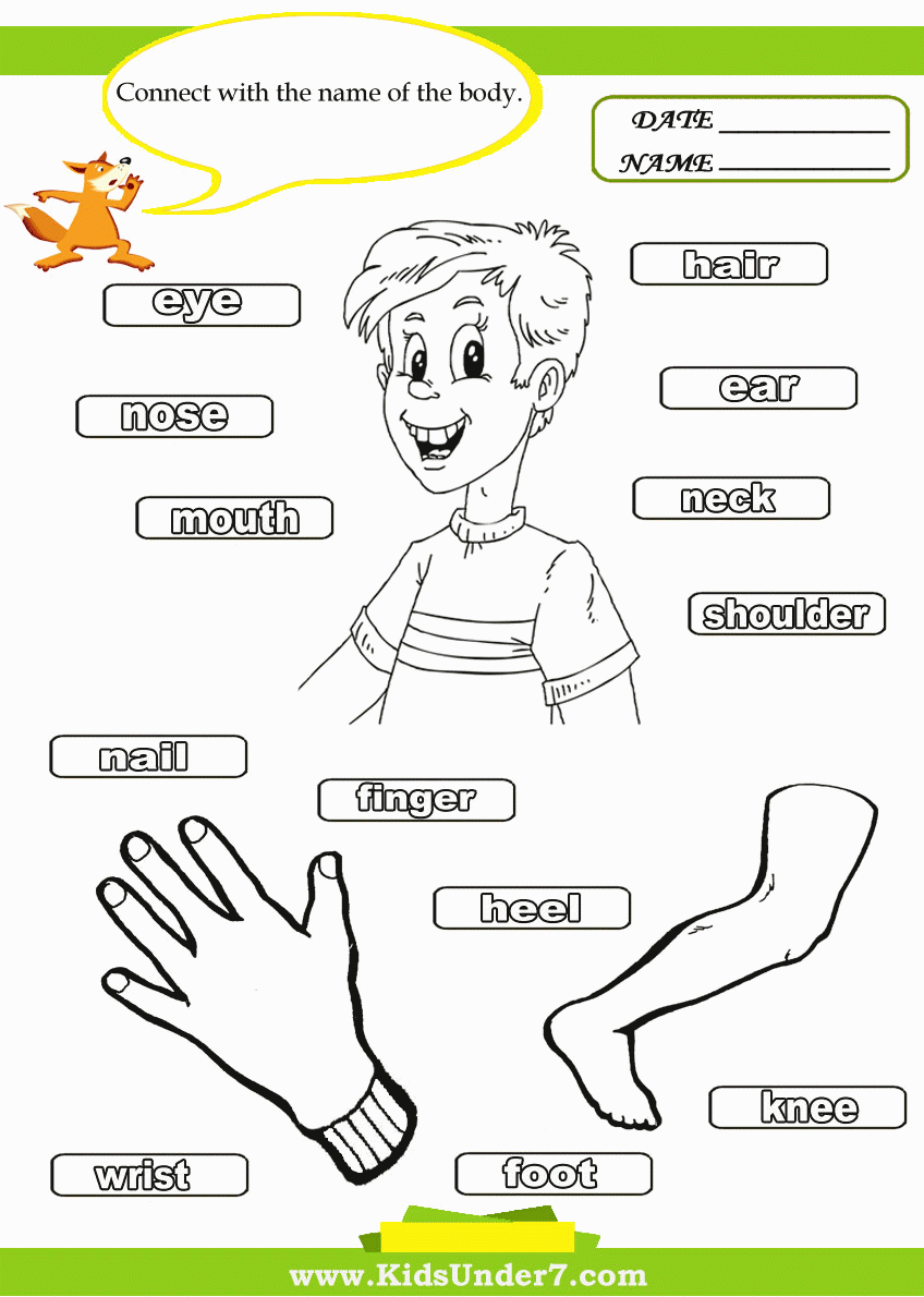 Preschool Body Parts Coloring Pages - Coloring Home