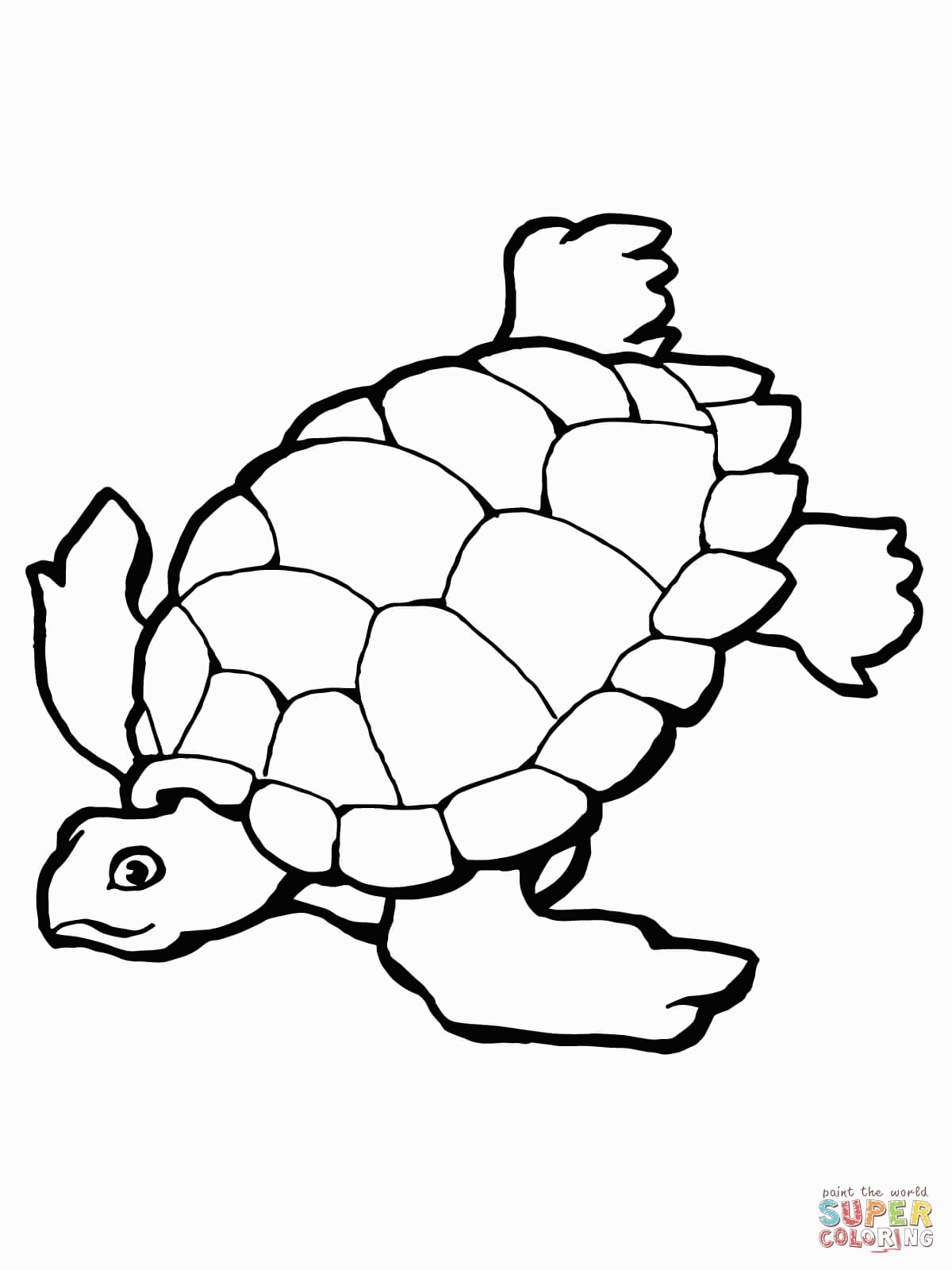 Related Turtle Coloring Pages item-12141, Turtle Coloring Pages ...