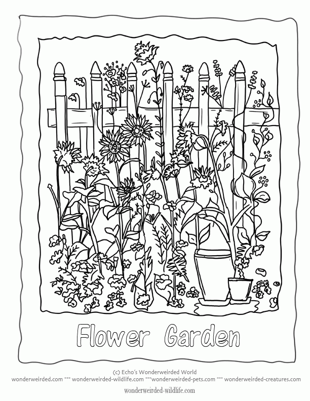 Flower Garden Coloring Pages, Beautiful Flower Garden Pictures to ...