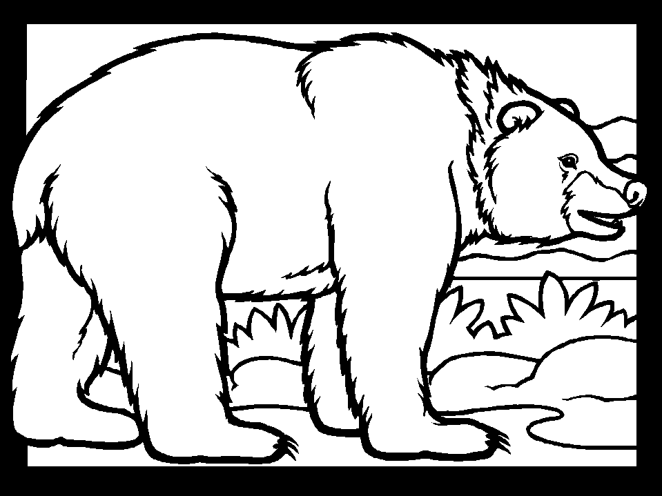 Animal Coloring Pages Bears - Coloring Pages For All Ages