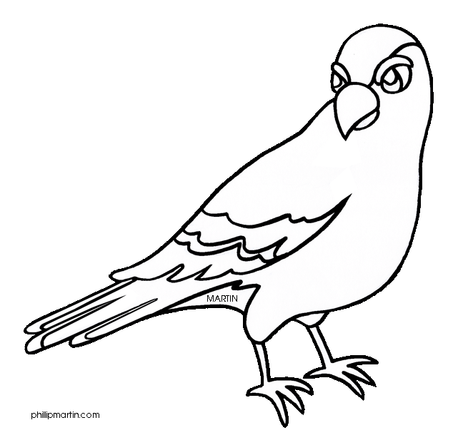 Colorado Drawing Coloring Page Transparent & PNG Clipart Free ...