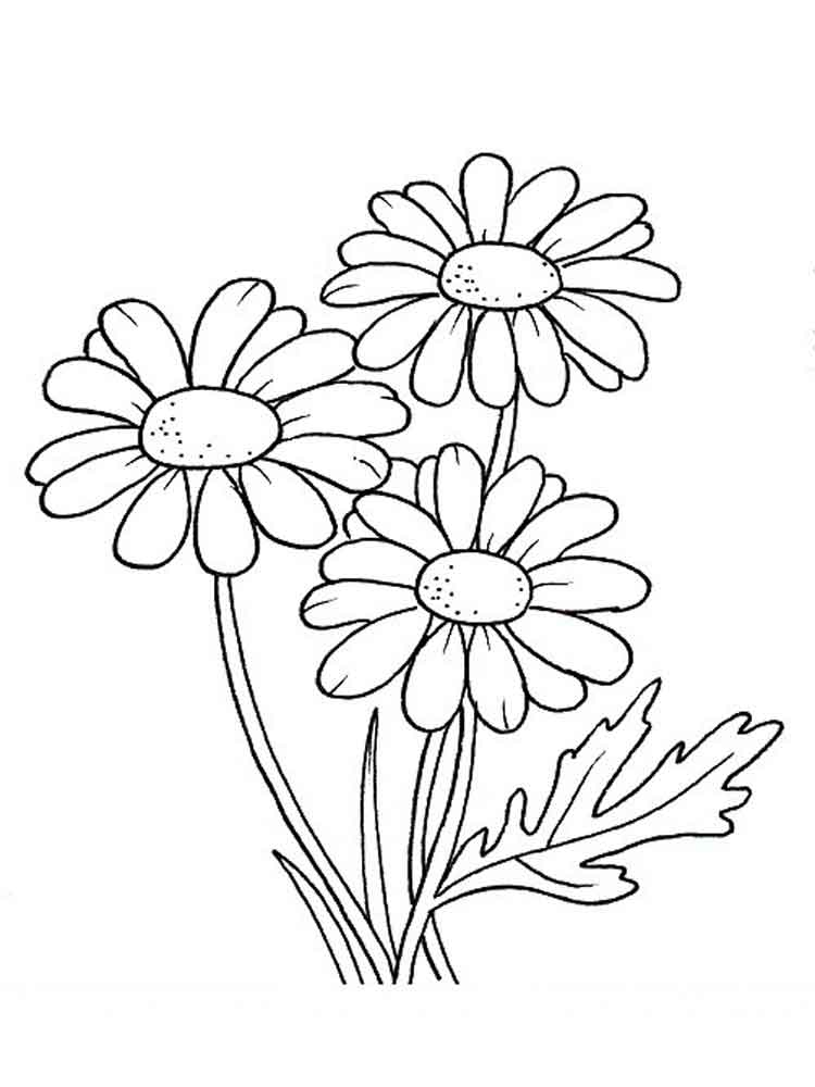 Daisies Coloring Pages - Coloring Home