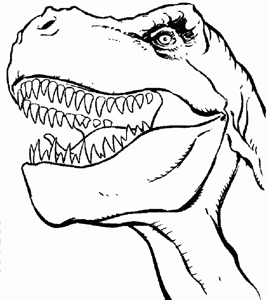 T Rex Dinosaur - Coloring Pages for Kids and for Adults