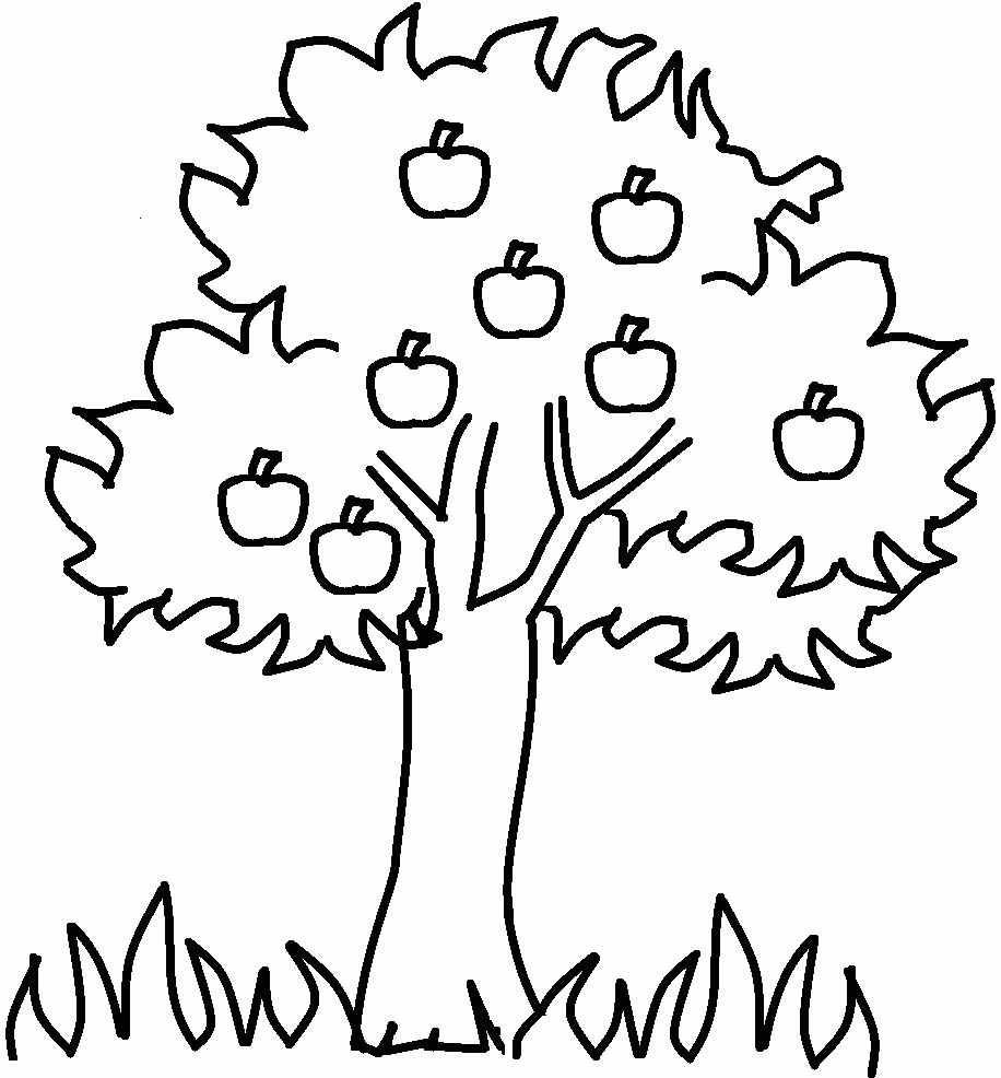 The Thick Apple Tree Coloring For Kids   Tree Coloring Pages ...