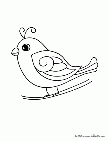 Cute Bird - Coloring Pages for Kids and for Adults