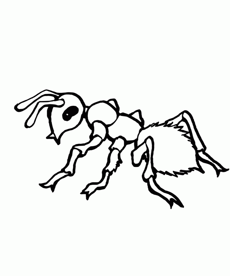 Free Printable Ant Coloring Pages For Kids Ant Coloring Pages ...