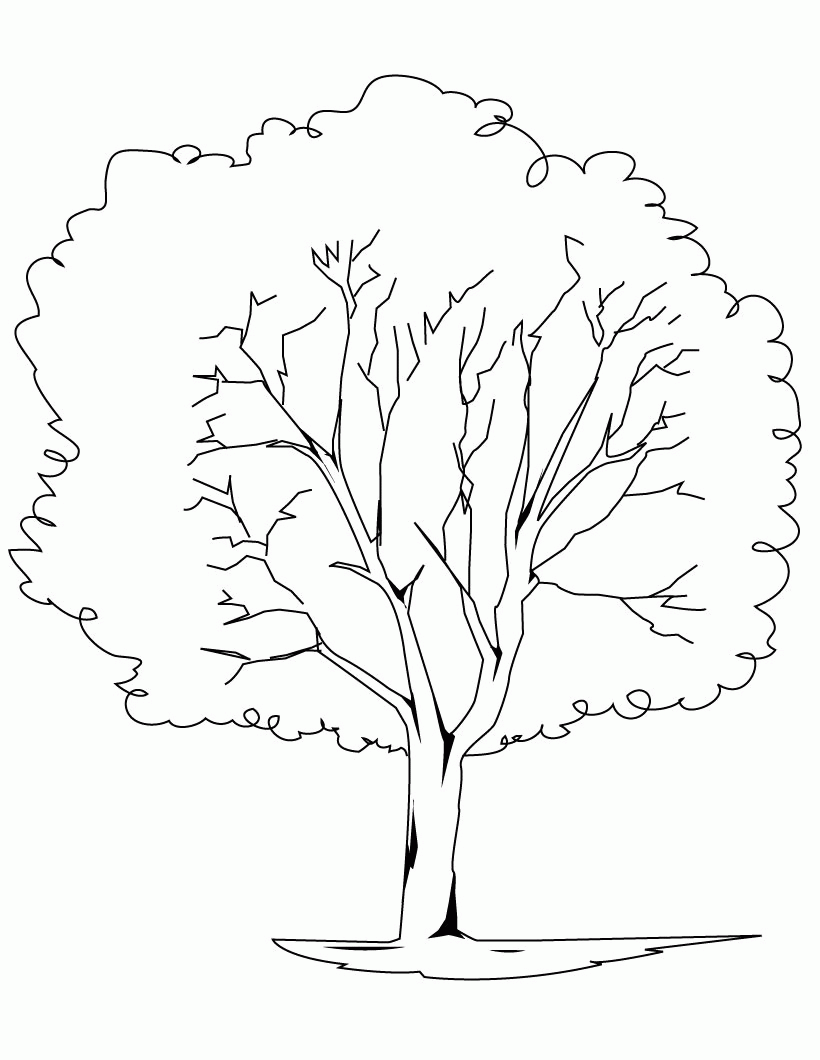 Christmas Tree Coloring Pages Free Printable Coloring Trees Fall ...