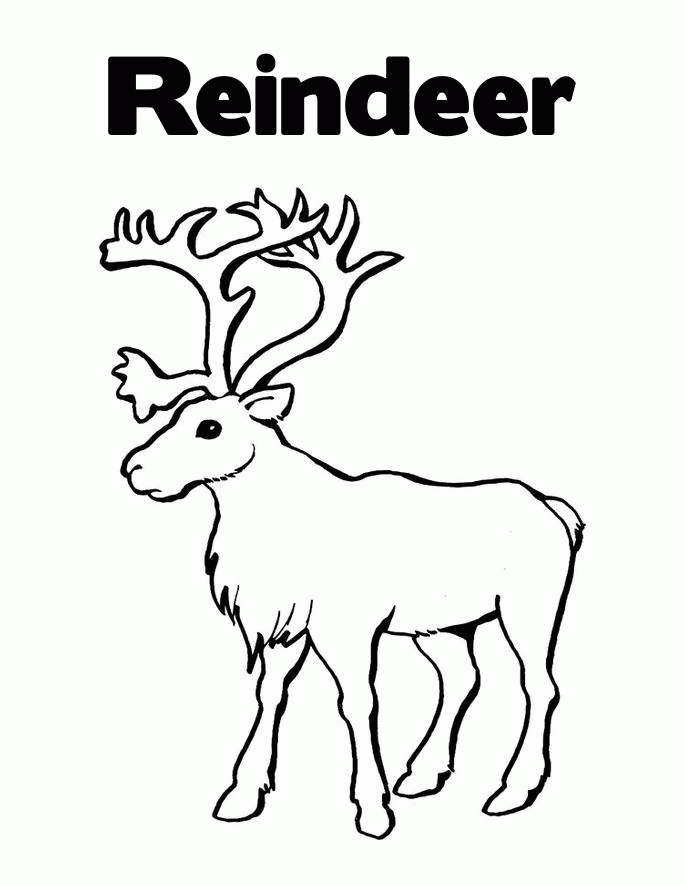 Reindeer Coloring Pages Printable 4