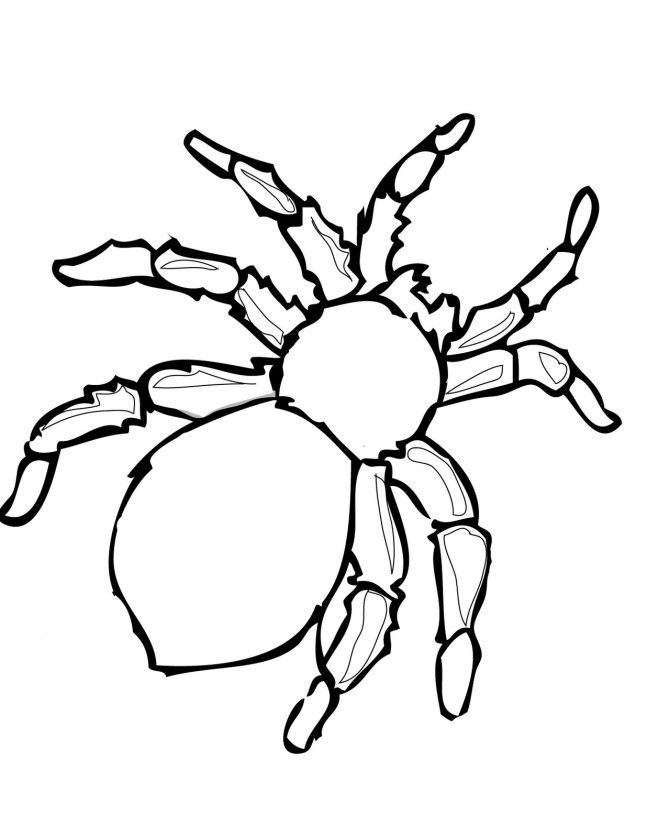 Printable Halloween Decoration Cutouts | Spider coloring page, Halloween  templates, Printable halloween decorations