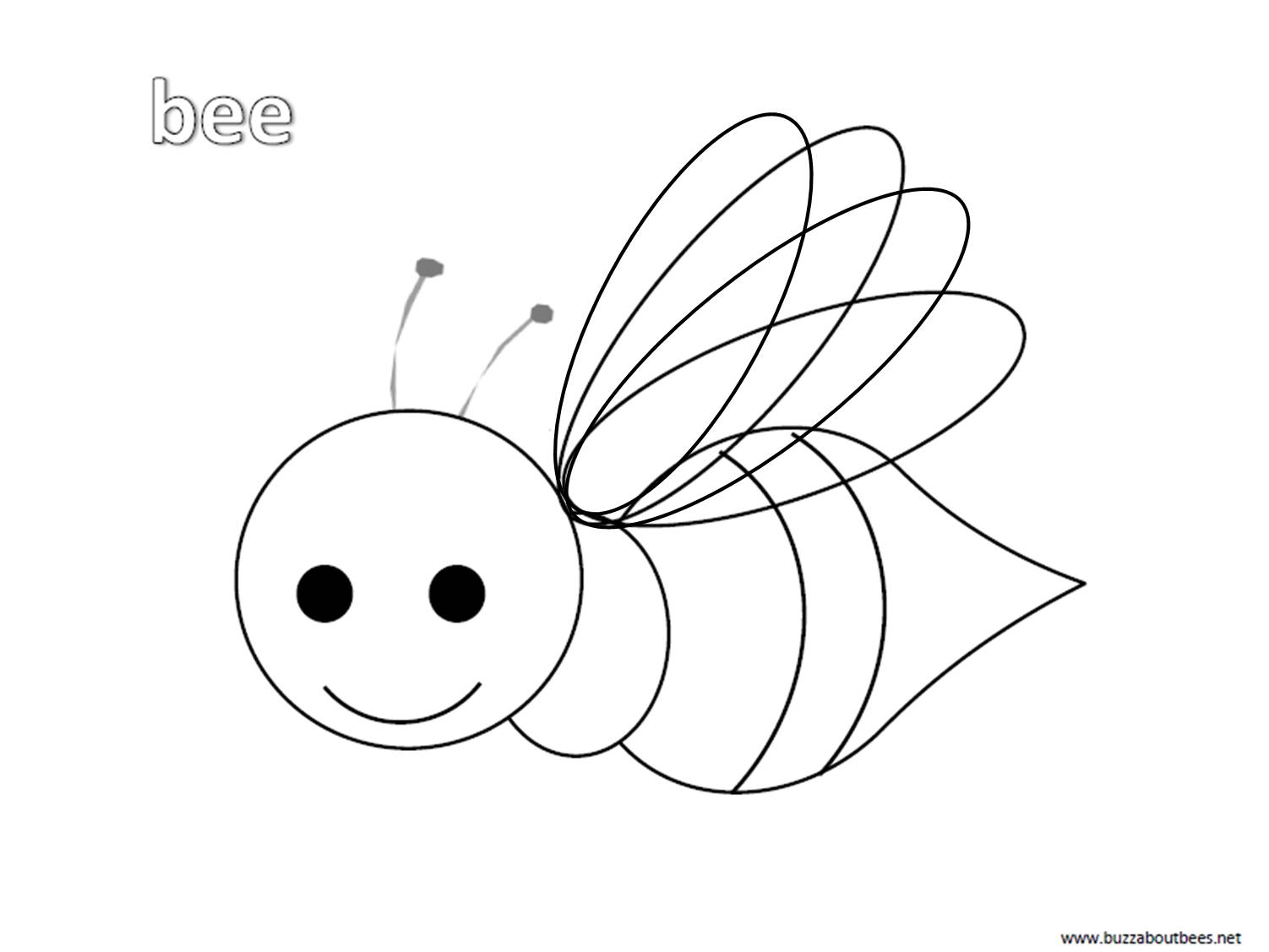 Bee Coloring Pages, Educational Activity sheets And Puzzles Free To Download