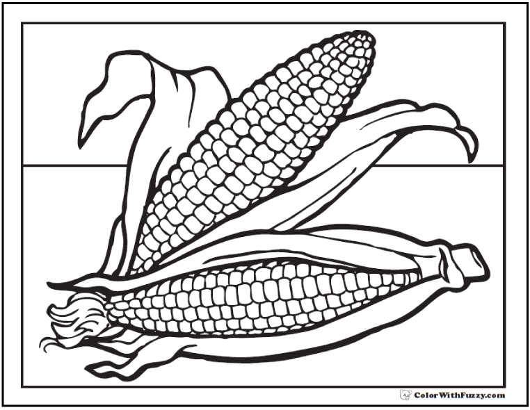 Corn Coloring Page For Summer Or Fall