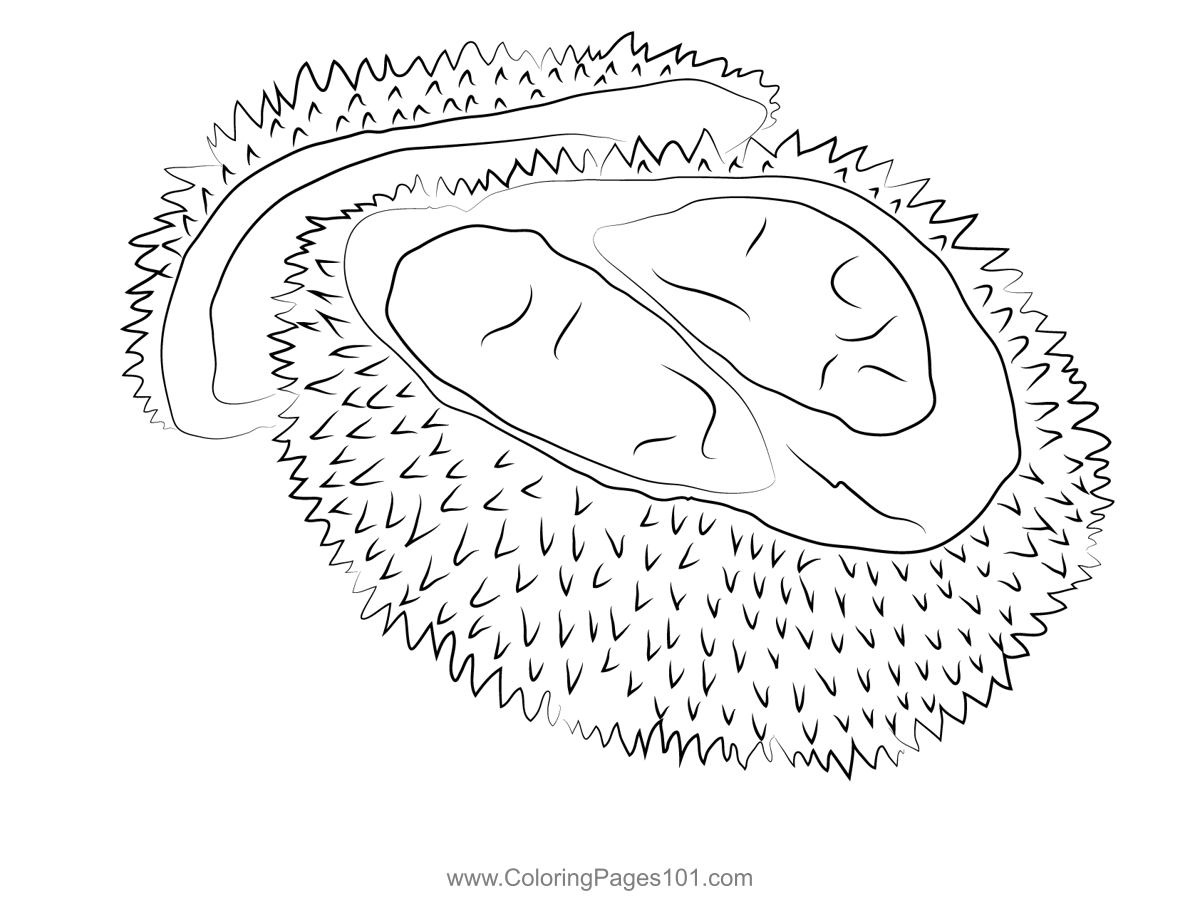 Singapore Durian Coloring Page for Kids - Free Durian Printable Coloring  Pages Online for Kids - ColoringPages101.com | Coloring Pages for Kids