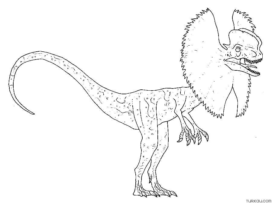 Dilophosaurus Coloring Page » Turkau