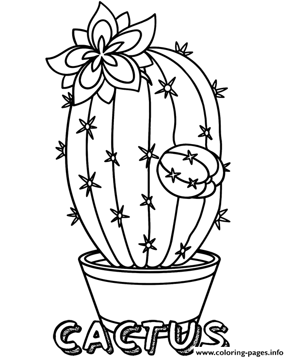 Cactus Flower In Pot Coloring Pages Printable