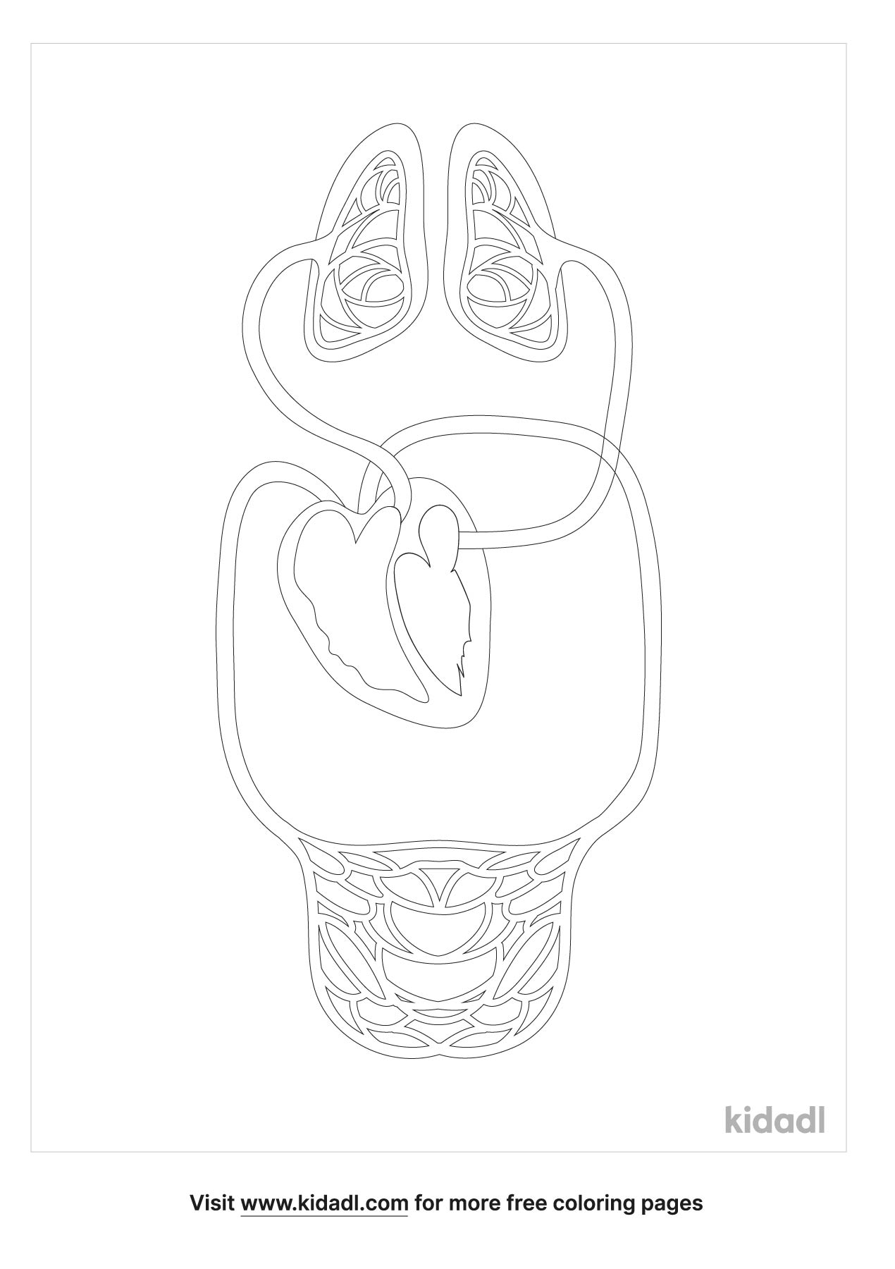 Circulatory System Coloring Pages | Free Human Body Coloring Pages | Kidadl
