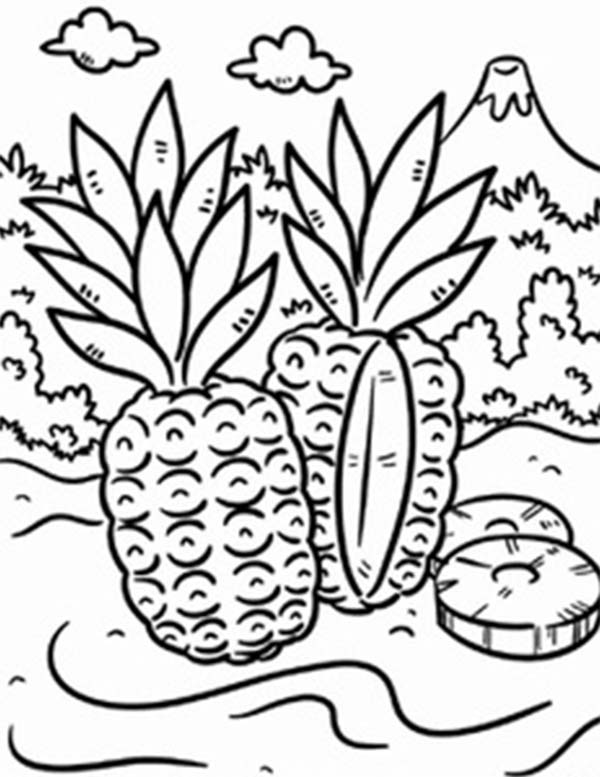 Wild Pineapple In A Tropical Island Coloring Page - Download & Print Online Coloring  Pages for Free | Color Nimbus